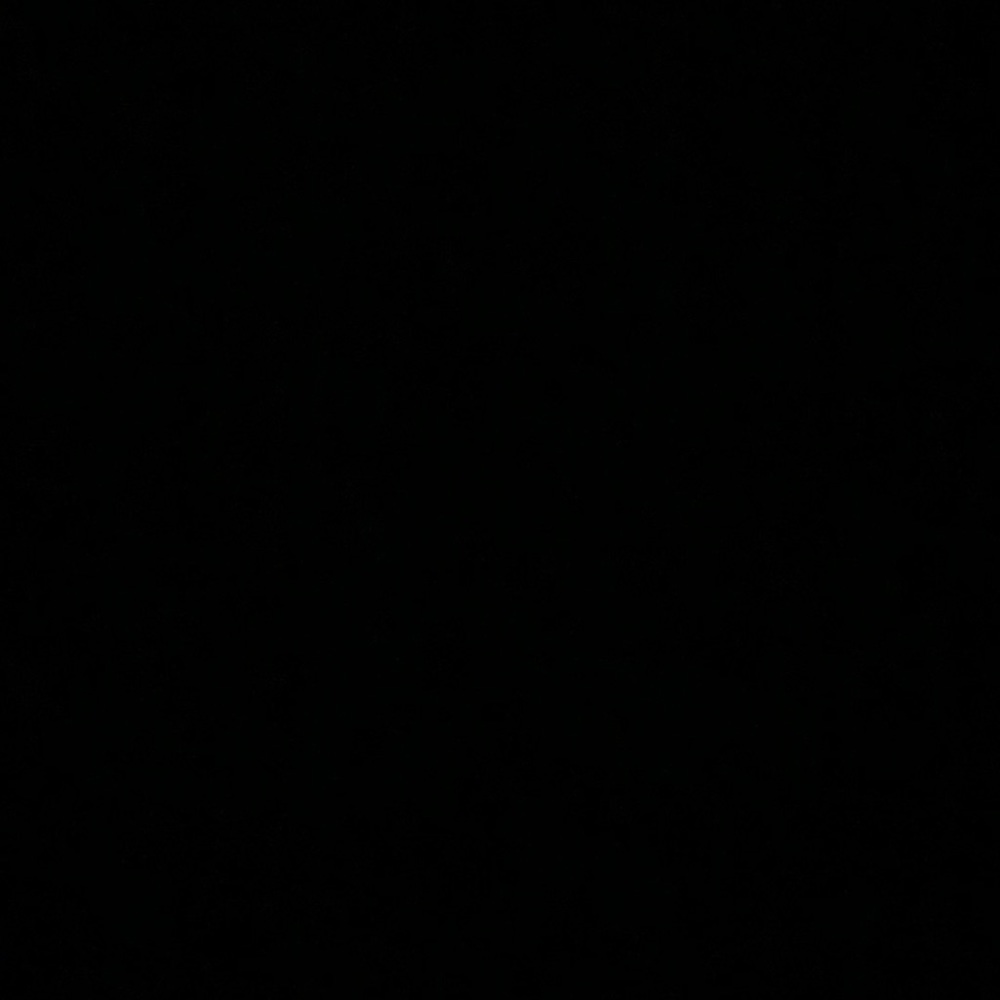 Meet your Posher, Landon